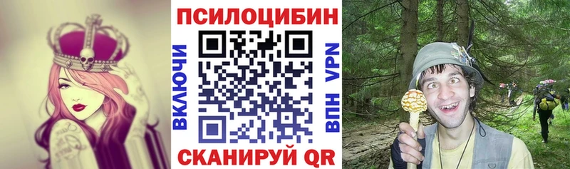 Галлюциногенные грибы Cubensis Гвардейск